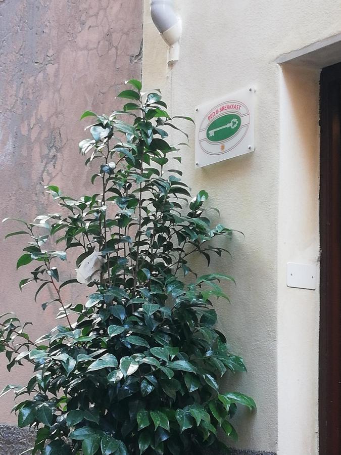 B&B Sotto Le Torri Albenga Kültér fotó